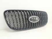 Grill 8636207010 Kia Picanto (BA) Schrägheck 1.0 12V (G4HE)