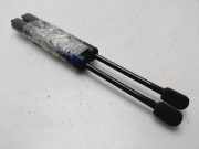 Gasdruckfeder Set Vorne A2218800329 Mercedes-Benz S (W221) Limousine 5.5 S-550 32V (M273.961)