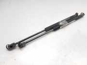 Gasdruckfedern Set Hinten 96540939 Daewoo / Chevrolet Kalos (SF48) Schrägheck 1.2 (B12S1(Euro 4))