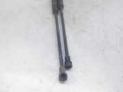 Gasdruckfedern Set Hinten 51247239871 BMW 1 serie (F20) Schrägheck 5-drs 116d 1.5 12V TwinPower (B37-D15A)