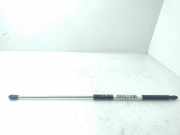 Gasdruckfeder Set Vorne 9256119680 Volkswagen Touareg (7LA/7L6) SUV 2.5 TDI R5 (BAC) BAC