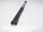 Gasdruckfedern Set Hinten 13220159 Opel Astra H GTC (L08) Schr?gheck 3-drs 1.6 16V Twinport (Z16XE1)