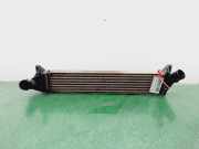 Ladeluftkühler 8200409045 Dacia Sandero I (BS) Schrägheck 1.5 dCi 70 (K9K-792)