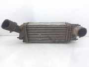 Ladeluftkühler 9657073480 Citroën C5 III Berline (RD) Schrägheck 2.0 HDiF 16V (DW10BTED4(RHF))