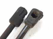 Gasdruckfedern Set Hinten JB475650 Peugeot 307 BREAK / SW (S1) SW Clim Plus 90 CV / 66 KW