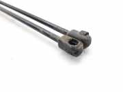 Gasdruckfedern Set Hinten 430718550550 Renault Scénic II (JM) Großraumlimousine 1.5 dCi 80 (K9K-722)