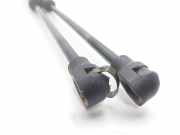 Gasdruckfedern Set Hinten 9807899380 Peugeot 308 (L3/L8/LB/LH/LP) Schrägheck 5-drs 1.6 BlueHDi 100 (DV6FD(BHY))