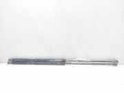 Gasdruckfedern Set Hinten 9630662480 Peugeot 406 (8B) Limousine 2.0 HDi 90 (DW10TD(RHY))