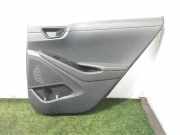T?rverkleidung Rechts Hinten 83340G2000 Hyundai Ioniq Liftback 1.6 GDI 16V Hybrid (A0001E1X1.6 GDI 16V Hybrid)