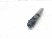 Kraftstoff-Injector TJBB01702D Ford FOCUS BERLINA (CAK) Ambiente 75 CV / 55 KW