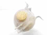 Ausgleichbehälter - 90410057 Opel Corsa B (73/78/79) Schrägheck 1.7D (X17D(4EE1))