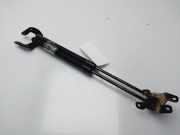 Gasdruckfedern Set Hinten 51247060622 BMW 1 serie (E87/87N) Schr?gheck 5-drs 120d 16V (N47-D20A)