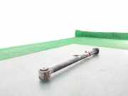 Bremsanker Stange Links Hinten 00519428550 Jeep Compass II (MP) SUV 1.4 Multi Air2 16V (55263624)