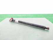 Kardan Vorne 7556019 BMW X6 (E71/E72) SUV 3.0 35xDrive 24V (M57N2(306D5))