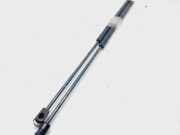 Gasdruckfedern Set Hinten 51734960 Fiat Croma (194) Schrägheck 1.9 D Multijet 16V (939.A.2000)