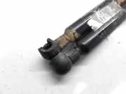 Gasdruckfedern Set Hinten 9602754380 Citroën ZX Schrägheck 1.9 D Reflex,Avantage (XUD9A(DJY))