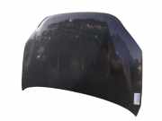 Motorhaube 6101134101 SsangYong Korando Geländewagen 2.0 e-Xdi 16V 4x4 (671.950)