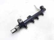 Einspritzdüsen Düsenstock A6640700295 SsangYong Actyon SUV 2.3 16V (M161.951)