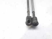 Gasdruckfedern Set Hinten 1U6827550E Skoda Octavia (1U2) Liftback 1.9 TDi GLX,SLX (ALH)