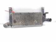 Ladeluftkühler 14461EB360 Nissan Navara (D40) Pick-up 2.5 dCi 16V 4x4 (YD25DDTi)