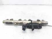 Einspritzdüsen Düsenstock 0445214017 Lancia Phedra Großraumlimousine 2.2 JTD 16V (DW12TED4(4HW))