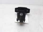 Türfänger 804300992R Dacia II Prestige 101 CV / 74 KW