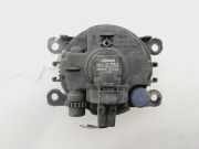 Nebelscheinwerfer Links Vorne 8200074008 Renault Scénic II (JM) Großraumlimousine 1.5 dCi 105 (K9K-732)