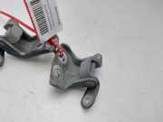 Scharniere 82401AV630 Nissan Qashqai (J10) SUV 1.5 dCi (K9K-282(Euro 5))