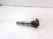 Zündspule 0040102030 Volkswagen Polo IV (9N1/2/3) Schrägheck 1.4 16V (BBY) BBY