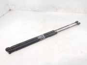 Gasdruckfedern Set Hinten 1683725 Ford Focus C-Max Großraumlimousine 1.6 TDCi 16V (G8DA)