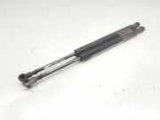 Gasdruckfedern Set Hinten 51248254281 BMW 3 serie (E46/4) Limousine 318i (M43-B19(19 4 E1))