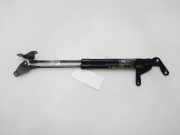 Gasdruckfedern Set Hinten 51247060622 BMW 1 serie (E87/87N) Schrägheck 5-drs 118d 16V (M47-D20(204D4))