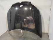 Motorhaube 7901P3 Citroën C5 III Berline (RD) Schrägheck 2.0 HDiF 16V (DW10BTED4(RHF))