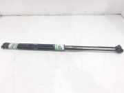 Gasdruckfedern Set Hinten 51241960862 BMW 3 serie Compact (E36/5) Schrägheck 316i (M43-B16)