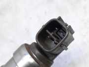 Kraftstoff-Injector 8972391617 Renault Vel Satis (BJ) Großraumlimousine 3.0 dCi V6 24V (P9X-701)