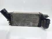 Ladeluftkühler 9656525880 Citroën C4 Picasso (UD/UE/UF) Großraumlimousine 2.0 HDiF 16V 135 (DW10BTED4(RHJ))