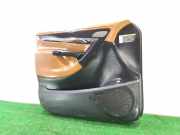 Türverkleidung Links Vorne 96858387CB Citroën C4 Picasso (UD/UE/UF) Großraumlimousine 2.0 HDiF 16V 135 (DW10BTED4(RHR))