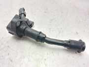 Zündspule DS7G12A366BB Ford Kuga II (DM2) SUV 1.5 EcoBoost 16V 150 (M8MD)