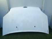 Motorhaube 1448864 Ford CONNECT (TC7) Kombi Corta 75 CV / 55 KW
