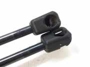 Gasdruckfedern Set Hinten 81240035 Renault Clio II (BB/CB) Schrägheck 1.4 (E7J-780)