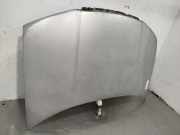 Motorhaube 6Y0823031 Skoda Fabia (6Y2) Schrägheck 5-drs 1.4 TDi (AMF)