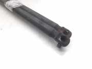 Gasdruckfedern Set Hinten BP4K62620F Mazda 3 Sport (BK) Schrägheck 2.0 CiTD 16V (RF7J)