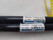 Gasdruckfedern Set Hinten M42239U2193 Hyundai Atos Schrägheck 1.0 12V (G4HC)