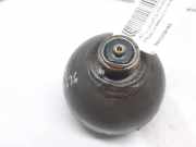 Luftkessel 9642209180 Citroën C5 Berline (DC) Schrägheck 2.0 HDi 110 (DW10ATED(RHZ))