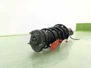 Sto?d?mpfer Rechts Vorne 51929881 Citro?n Nemo (AA) Van 1.3 HDi 75 (F13DTE5(FHZ)) F13DTE5(FHZ)