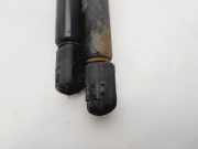 Gasdruckfedern Set Hinten 9647295380 Citroën CITROEN COUPE by Loeb 109 CV / 80 KW