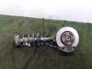 Achsschenkel Halter Links Vorne 8200297026 Renault MEGANE II BERLINA 5P Emotion 86 CV / 63 KW