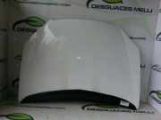 Motorhaube 7901H9 Citroën CITROEN C5 BERLINA 2.0 HDi X 90 CV / 66 KW