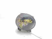 Nebelscheinwerfer Rechts Vorne 63176920886 BMW X5 (E53) SUV 3.0d 24V (M57-D30(306D1))