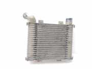 Ladeluftkühler 281904265X Hyundai H 1 H 1 Furg.caja cerr.c. puerta 101 CV / 74 KW